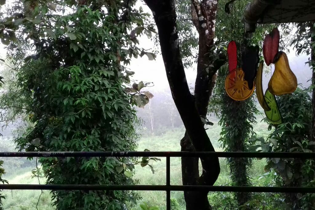 The first mist of the most beautiful season at The Shelter