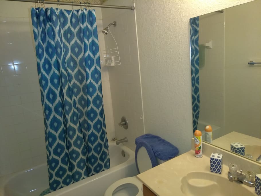 Private Bath, Tissue, Soap, Towel and washcloth Provided