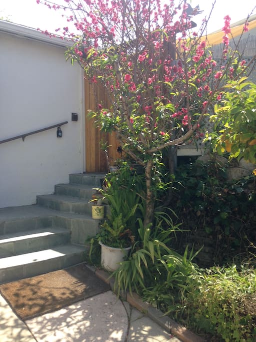 Entry to Studio