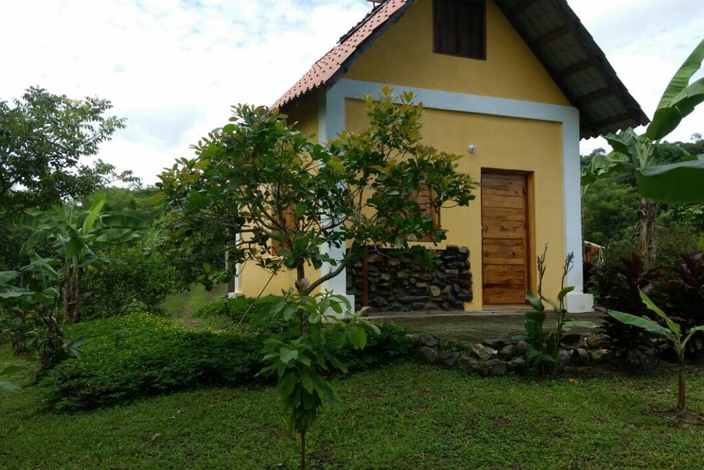 The sunflower cabin