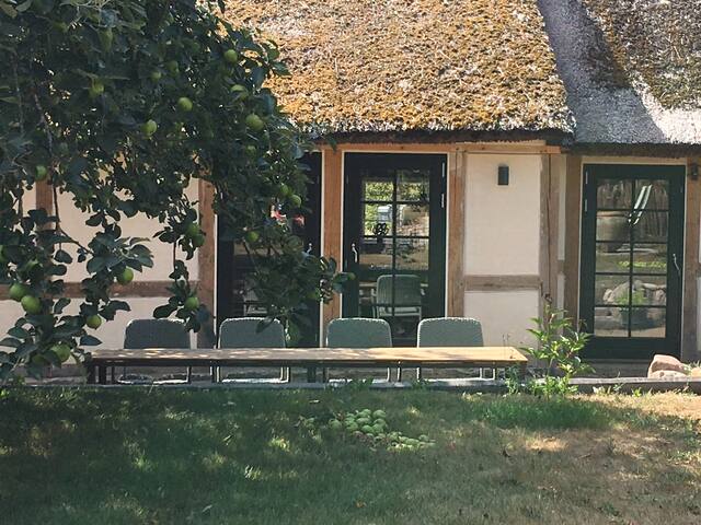 Get Rosmarin strand etvaerelses leje Desktop Wallpaper Free