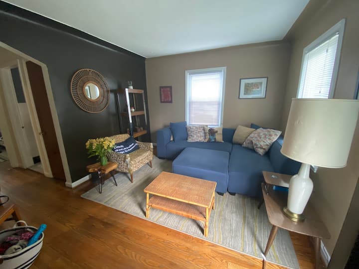 Cozy Dog Friendly Home *Walk To Downtown Ferndale* - Detroit Zoo, Royal Oak