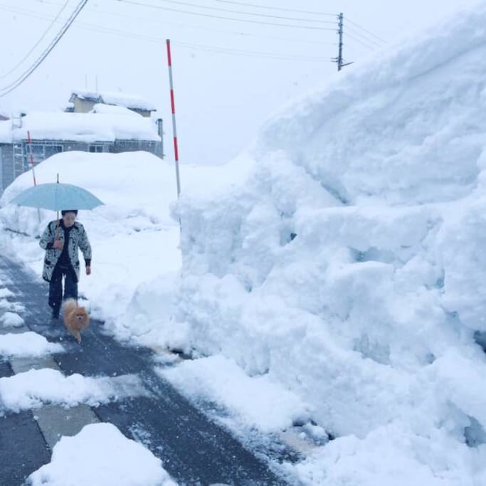 探访川端康成 雪国 的背景地 东京旅游攻略 尽在airbnb爱彼迎 探访川端康成 雪国 的背景地 东京旅游攻略 尽在airbnb爱彼迎