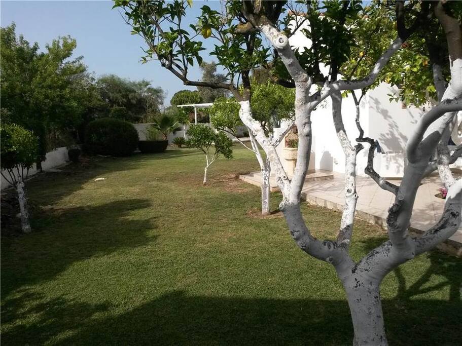 giardino
