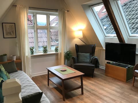 Popular Airbnb listing: Traditional Bergen House, Central location in Bergen