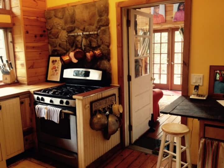 Streamside Cabin in the Catskills Houses for Rent in Chichester, New