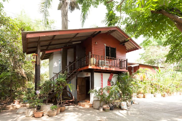 Wooden Guest House in the Bamboo