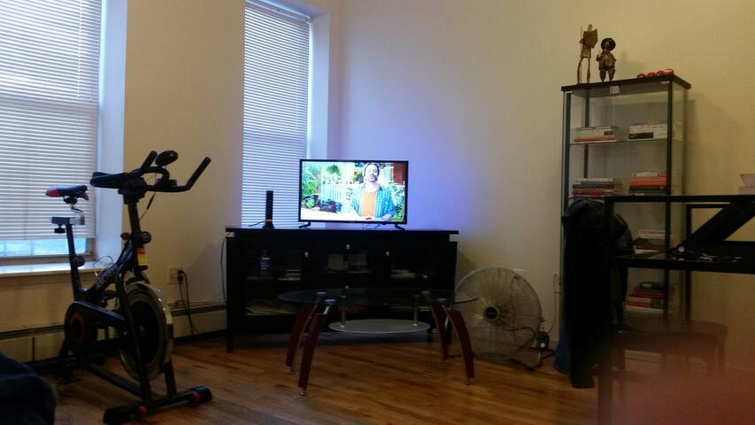 Sofa bed in my big living room