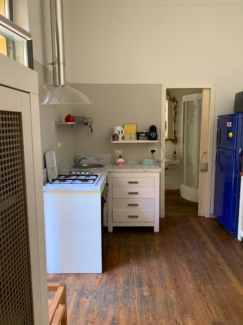 Top performing Airbnb: Infondallorto in Viareggio