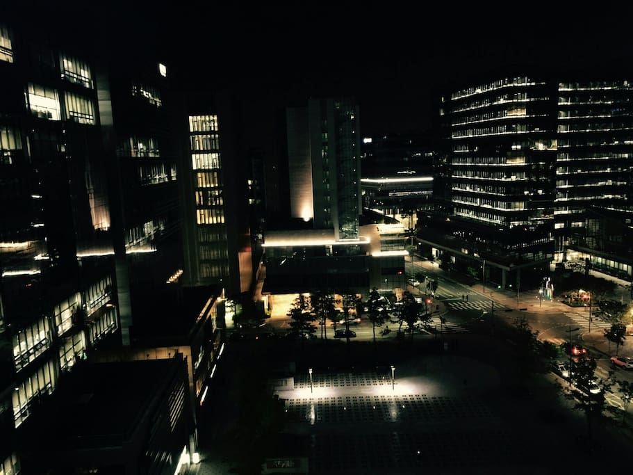 Night view(in room)