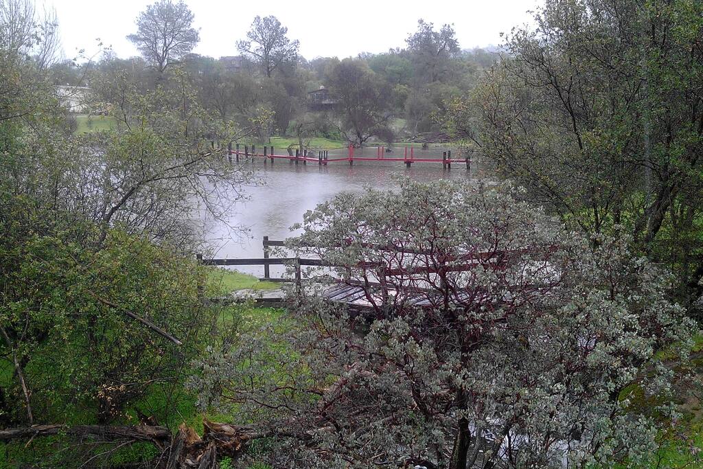 Bridge across the pond. Drought damaged many of our trees, we lost over 80%.