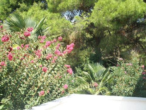 Garden view apartment Novak