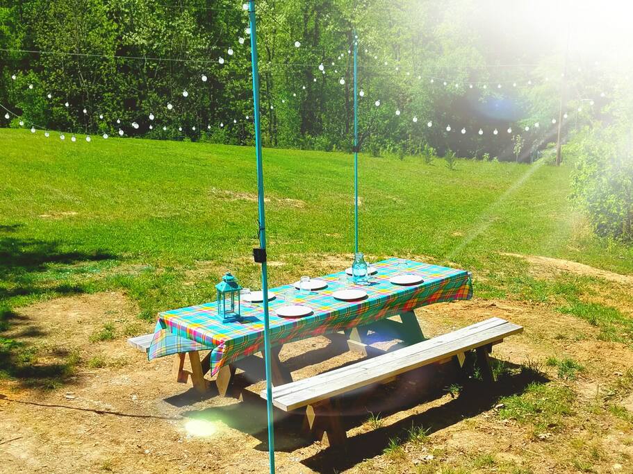 Enjoy the new picnic area with led solar lights for spring and summer evenings under the stars