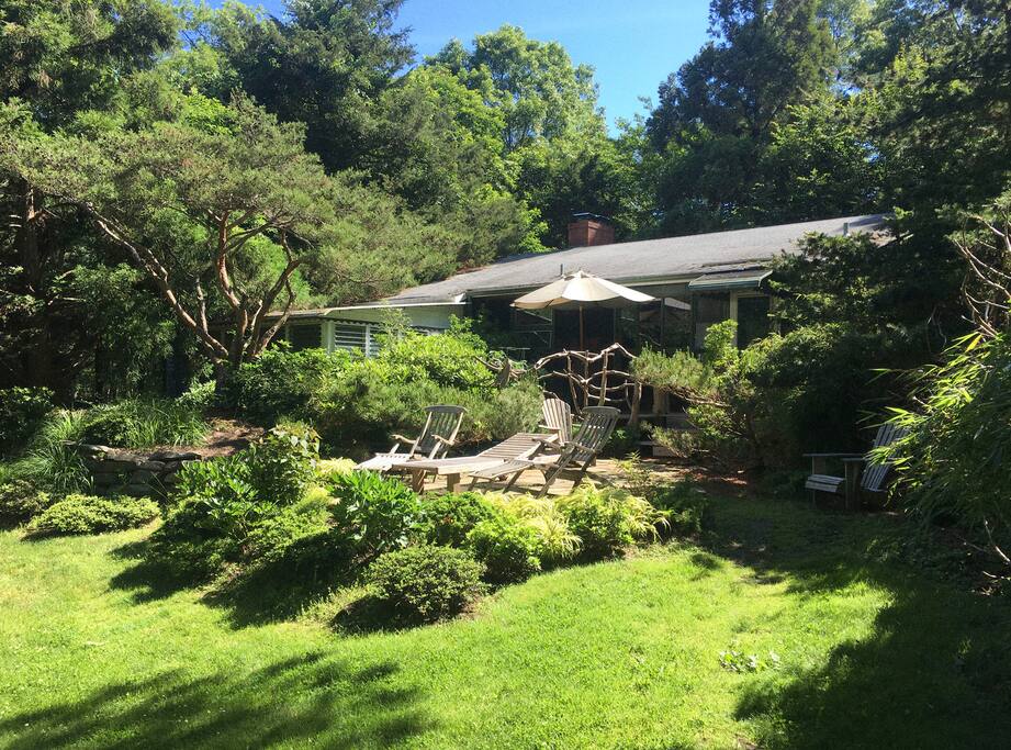 Backyard with a patio, grill and lounging chairs