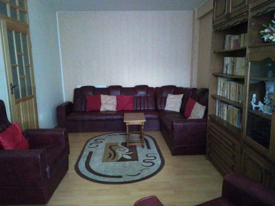 Living room (extendable sofa bed for 2 people)