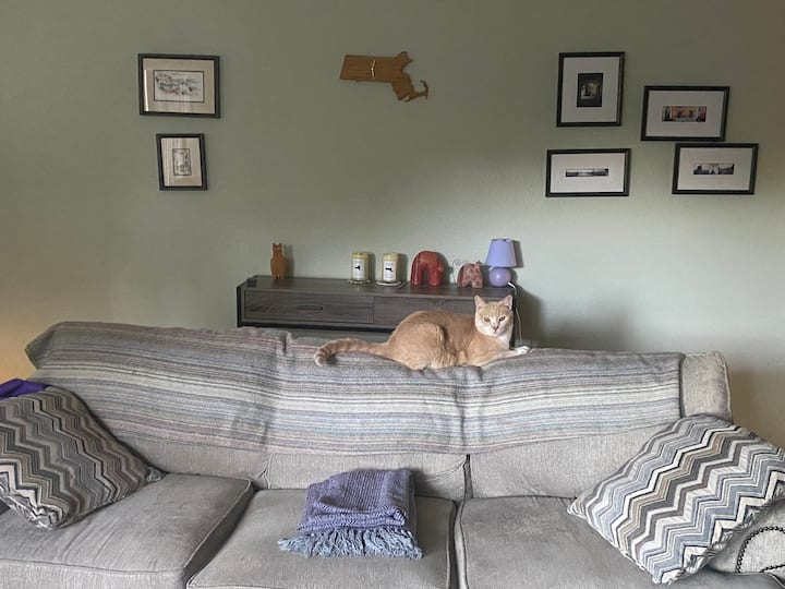 Sunnyside Holiday Rentals & Homes Oregon, United States Airbnb