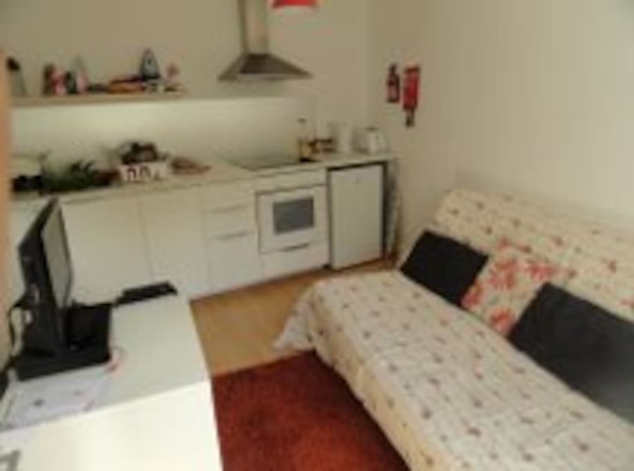 own living space/kitchen area with TV and wifi and pull out sofa.