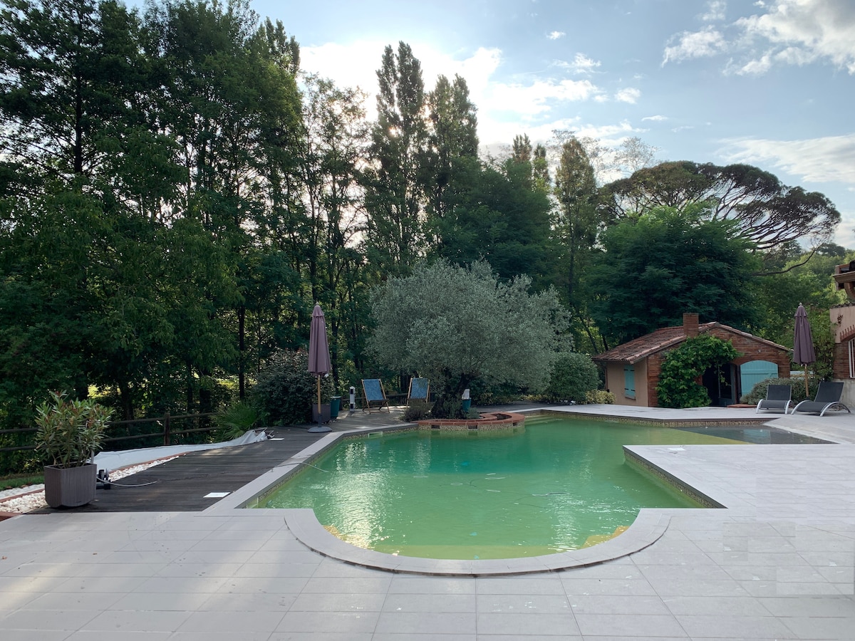 A spacious pool is framed by lush greenery, providing a serene backdrop. Sun loungers are arranged around the pool area, with large umbrellas offering shade. The patio features a smooth surface, enhancing the outdoor space for relaxation and leisure.