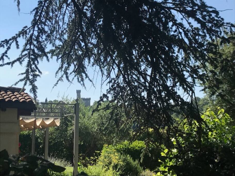 view