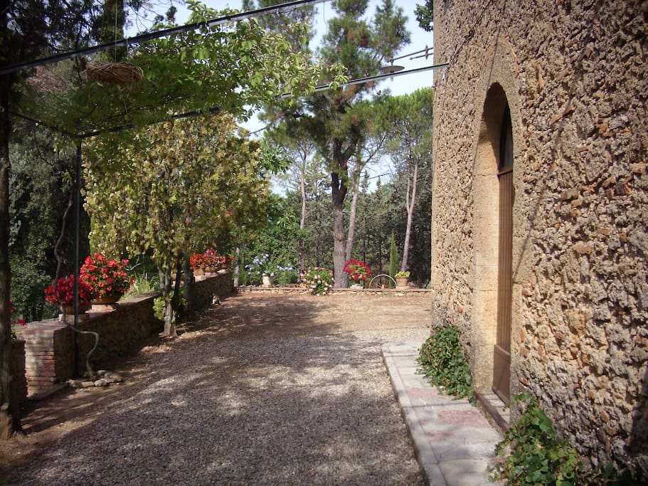 Giardino