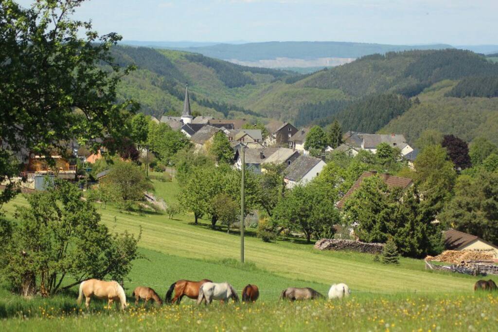 Urlaub mit dem eigenen Pferd