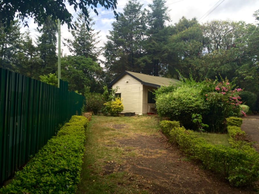 Vintage Wooden Guest Cottage! A little beauty with lots of privacy & it's own parking space.