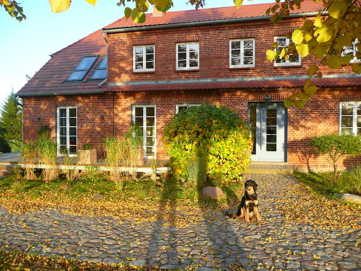 Wohnung Mit Garten Mieten Mecklenburg Vorpommern