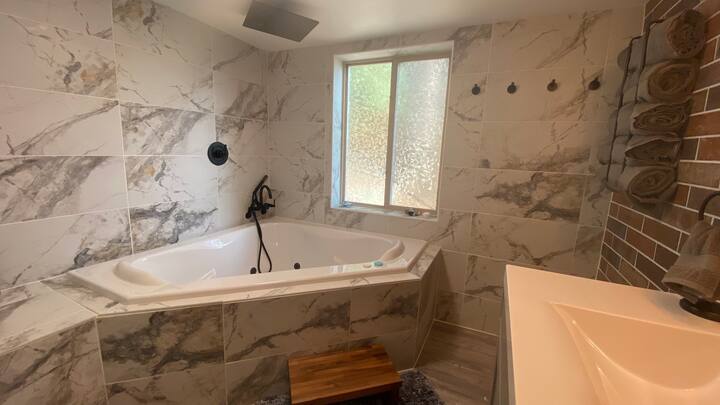 Modern BSMNT Suite W/Jacuzzi Tub