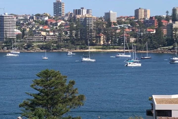 Manly Harbour View