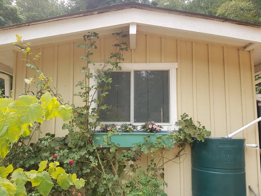 Bedroom Exterior