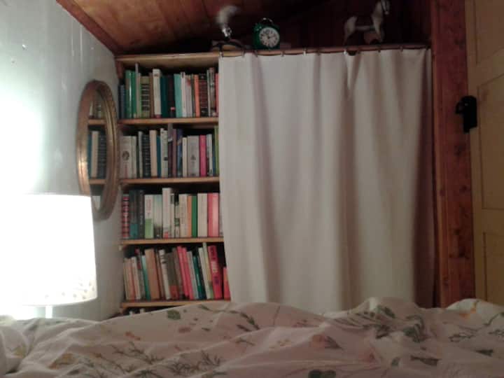 Moje omiljene knjige nalaze se u knjižnici.
-...
Pronaći ćete ih u 'libary' mojim omiljenim knjigama.