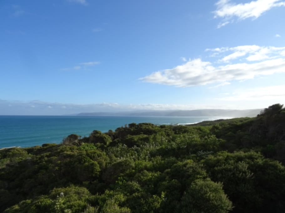 View from Split Point Lighthouse to Lorne