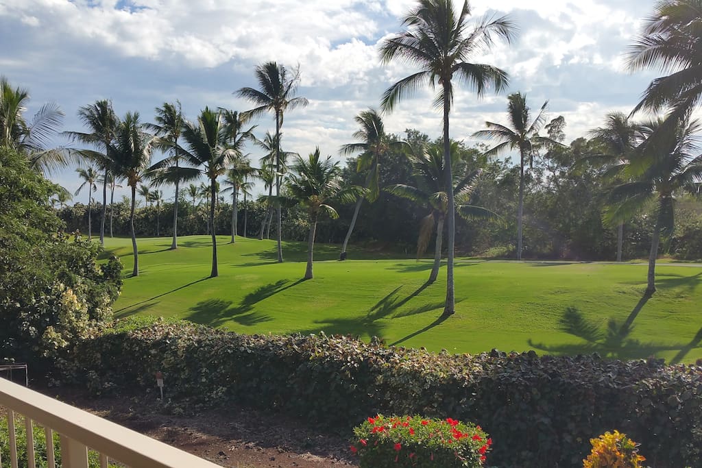 Lanai view