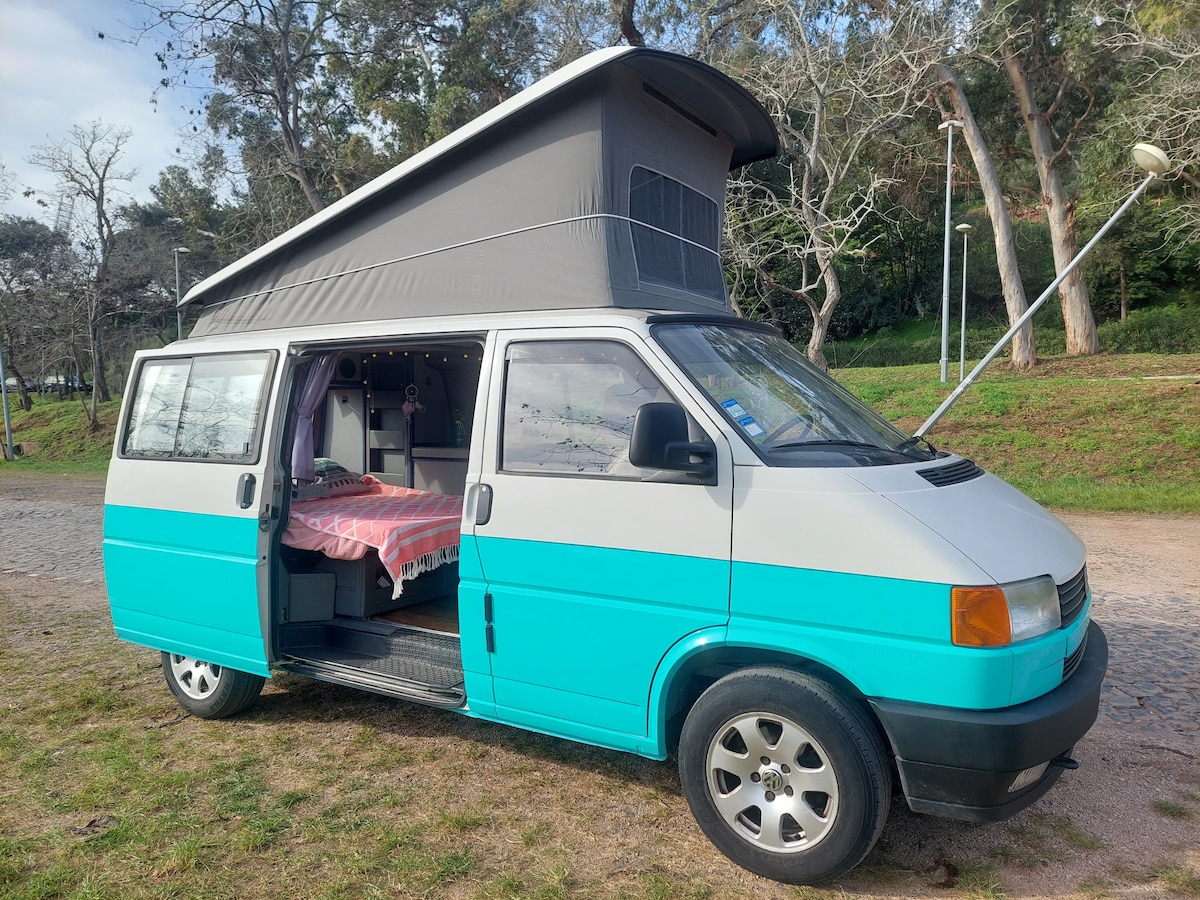 A teal and grey van is parked in a natural setting, featuring an elevated roof for extra headroom. One side of the van is open, revealing the interior layout. The exterior showcases equipped windows and a playful color combination.