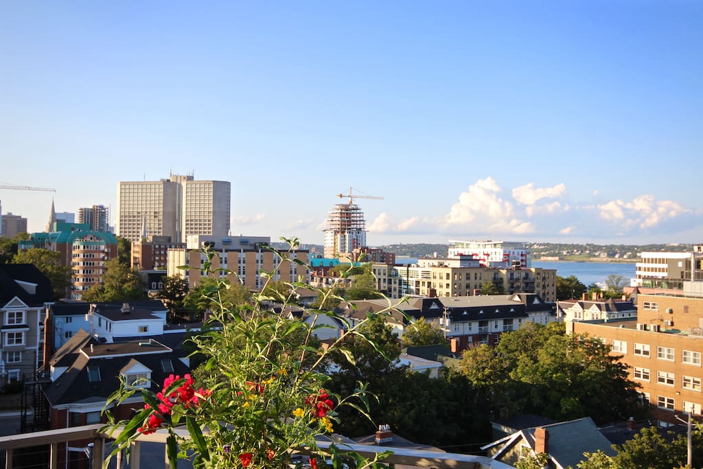 Enjoy the sunshine and an expansive city/harbour view from your Skyline balcony!