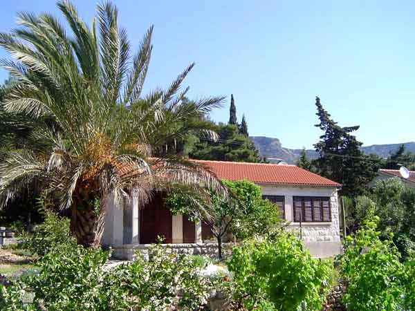 The vacation home is nestled among lush greenery, featuring palm trees and various plants in the foreground. A red-tiled roof complements the stone structure, while large windows invite natural light into the interior. Surrounding trees add to the serene and private atmosphere.