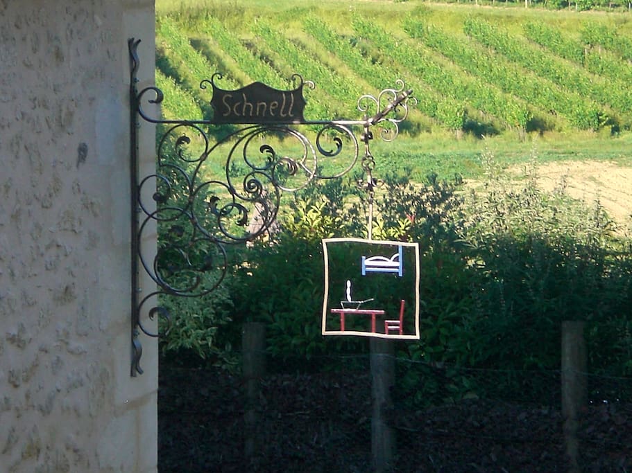 Vue sur le vignoble