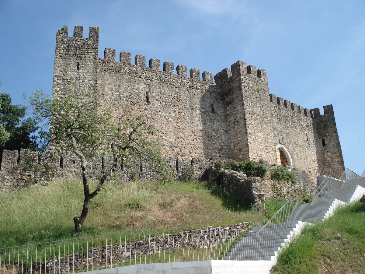 An ancient castle is positioned atop a hillside, showcasing its stone walls and prominent battlements. Surrounding greenery, including trees and grass, is visible, and a staircase leads up to the entrance, providing a clear view of the historic structure against a blue sky.
