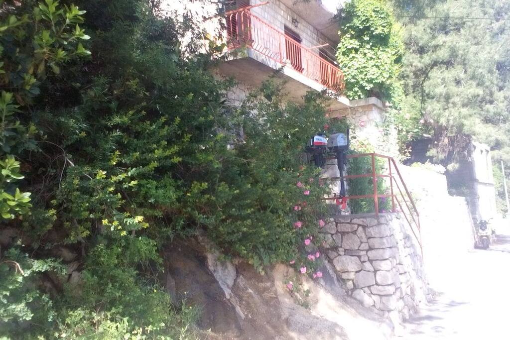 The view to the house from the road