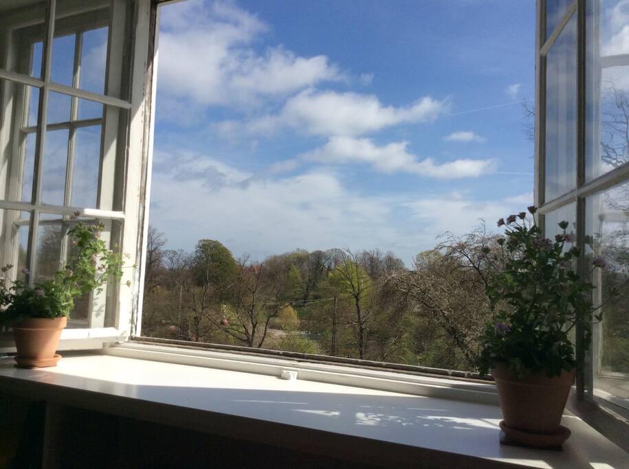 View from the dining room.