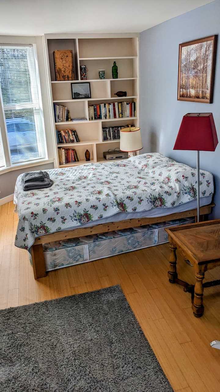Library/reading room accessed through pocket door off master bedroom with a full-sized bed.