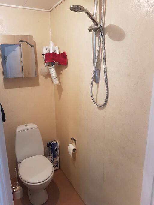 Toilet and bath