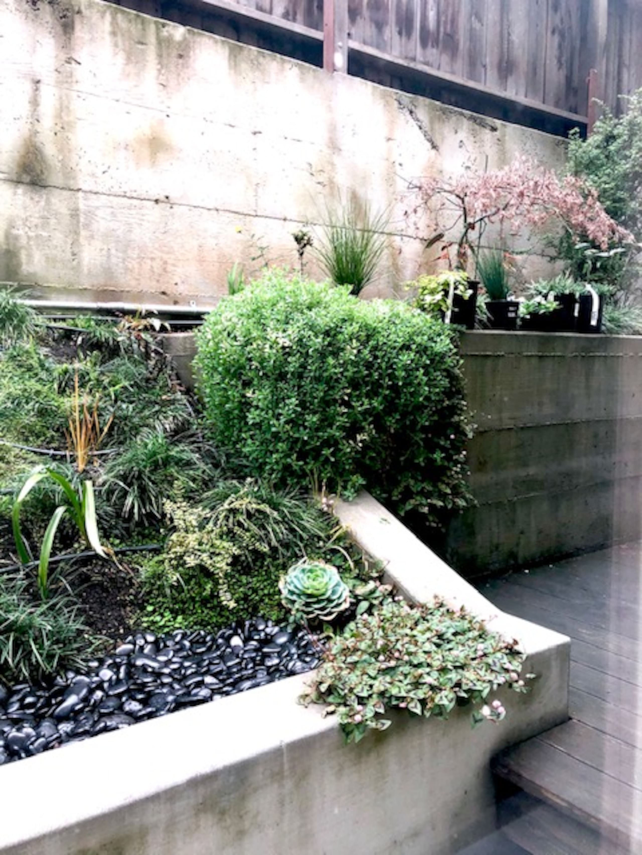 Dolores Park Garden Suite - Image 15