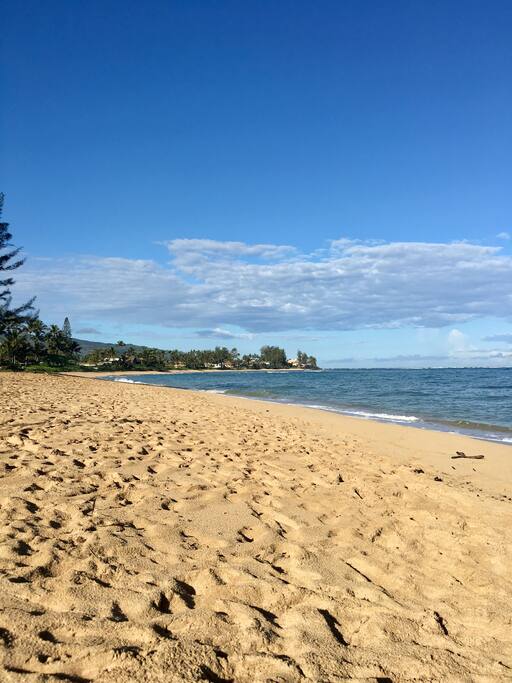 Waialua Beach Days. Just across the street to a quiet beach.