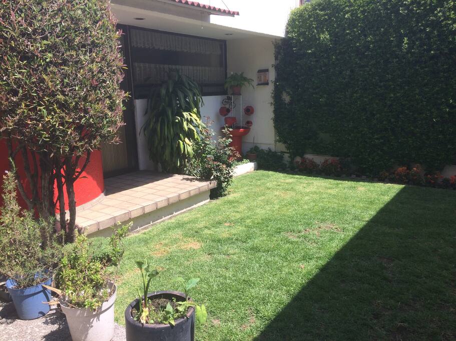 Jardín exterior