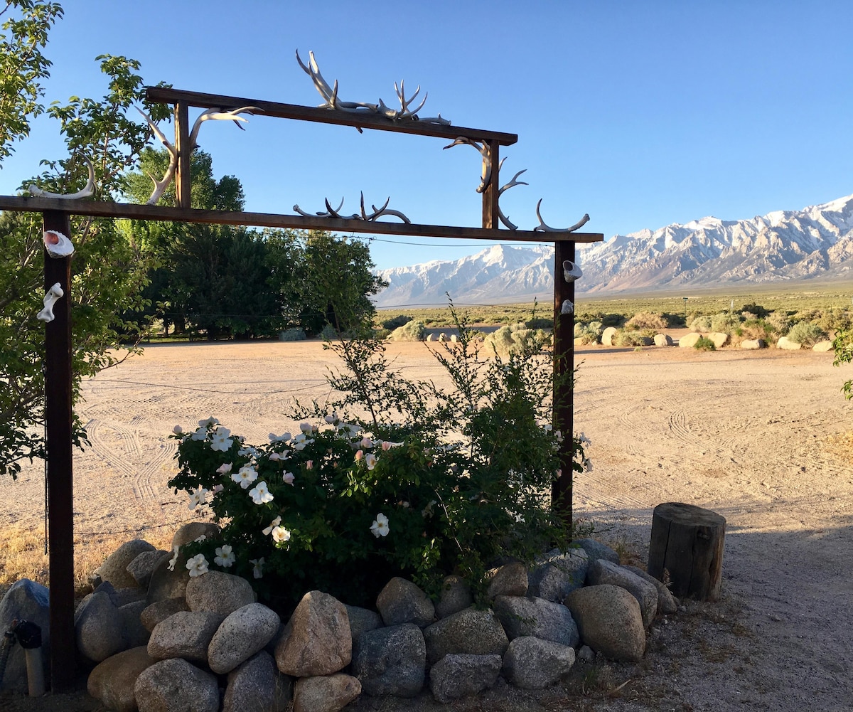 A natural entrance is framed by a wooden arch adorned with antlers. Below, a cluster of rocks surrounds a flowering bush with white blooms, while a vast open space leads to distant mountains under a clear blue sky.
