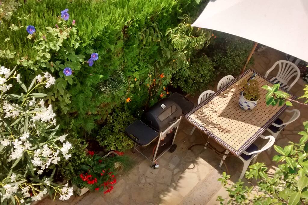 Terraza