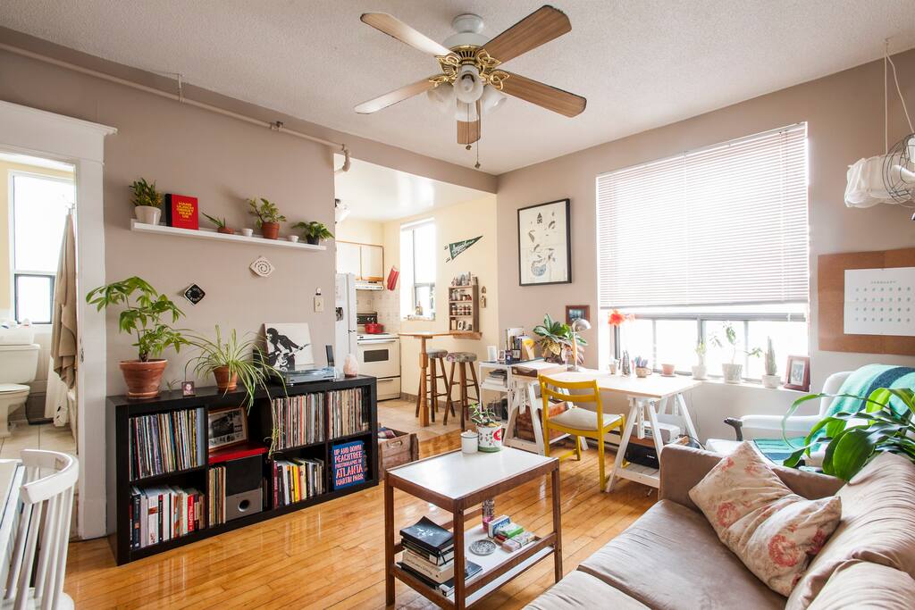 Lots of natural light in this cosy one bedroom.
