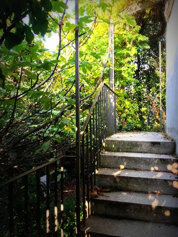 Grande appartamento con tre terrazze. gallery image 5