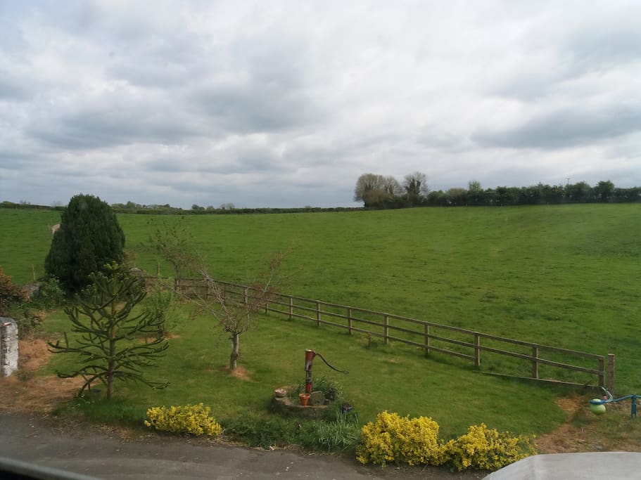 View out Bedroom window